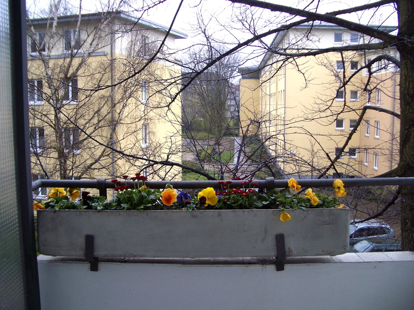 View to the Goldbek Canal
