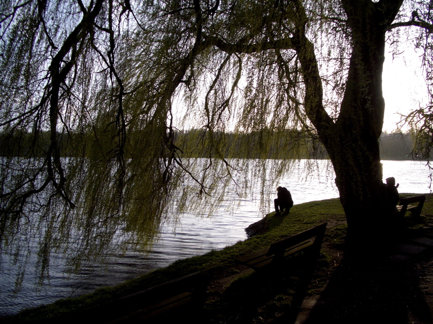 The Alster at Sunset