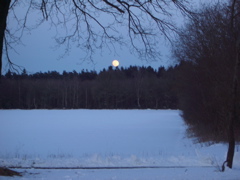 Moonrise at 6 pm in Rade