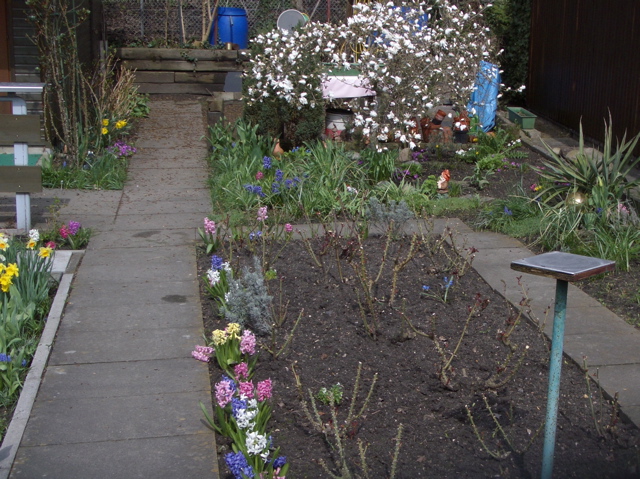 Goldbek Urban Garden