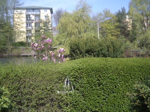 Allen appartment from across the Goldbek Canal