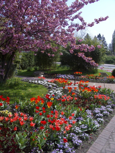 Hamburg Botanical Garden