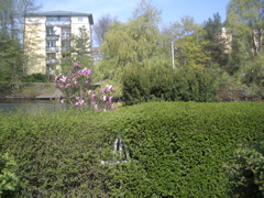 Allen appartment from across the Goldbek Canal