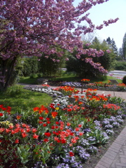 Hamburg Botanical Garden