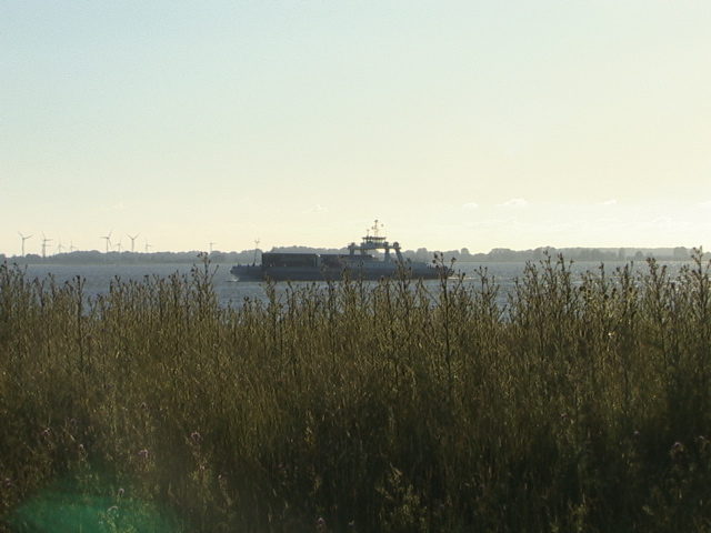 Elbe Ferry