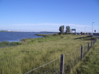 Elbe River Ferry Terminal