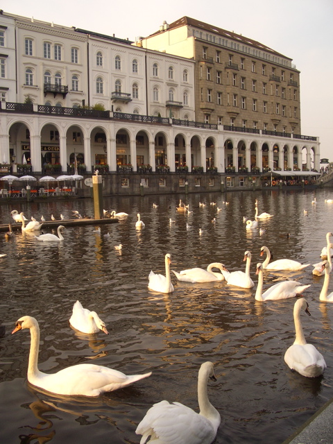 Alster Canal